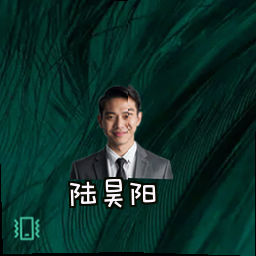 陆昊阳